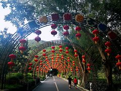 -大屏嶂森林公园