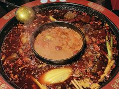 -矮板凳老火锅(宽窄巷子店)