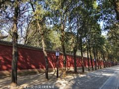 -永乐宫