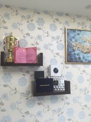 -MIVI野生眉纹绣纹眉