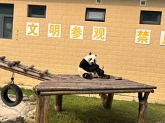 -石家庄市动物园