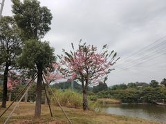 -中国移动南方基地