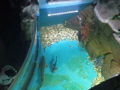 -苏州海洋馆