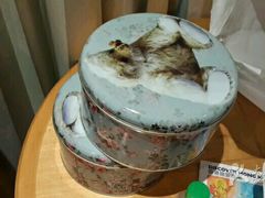 -珍妮曲奇聪明小熊(上环店)