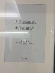 -金夫人婚纱摄影(总店)