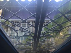 -Sirena海妖日咖夜酒