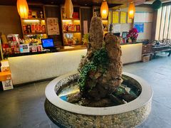 -都江堰石锅鱼