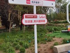-曹州牡丹园