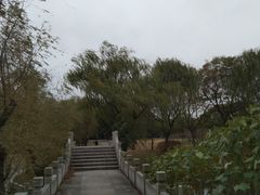 -上海汽车会展中心