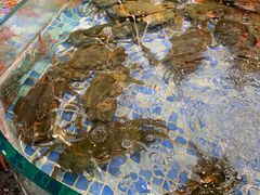 海鲜池-德胜轩正宗顺德菜(宝安沙井会展中心店)