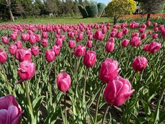 -长春公园(普阳街道)