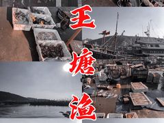 -龙王塘渔港