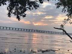 -宝安西湾红树林湿地公园