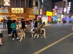 -南风(淮海街店)