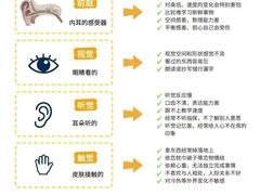 -金色雨林感统训练·专注力·语言认知·心理沙盘(天通苑校区)