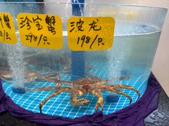-大家发海鲜城夜排档(华山中路店)
