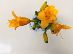 -悦真雅院·四合院·清真私房菜(雍和宫店)