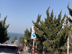 -养马岛旅游度假区