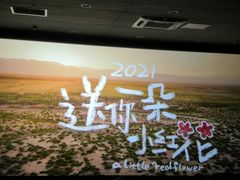 -岽锦泰禾影城(海星广场店)
