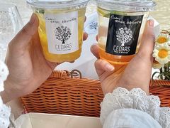 -LESCEDARS Brasserie Bistro香柏树