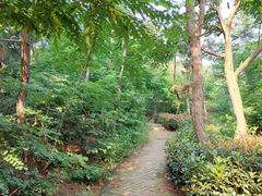 -北岭山森林公园