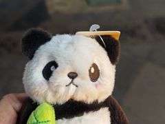 -春熙路步行街