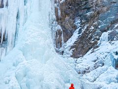 -成都泰迪熊博物馆