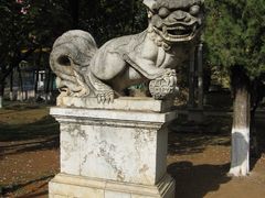 -昆明动物园