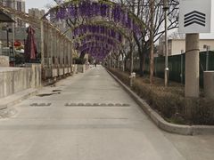-半坡国际艺术区