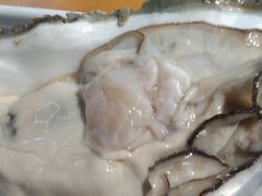 -养牛邓·潮汕牛肉海鲜自助火锅(广州店)