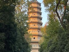 -灵谷景区