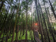 -青山湖景区