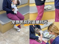 -美联众合动物医院·24h转诊中心
