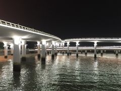 -演武大桥观景平台