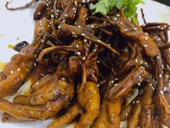 -科巷菜场