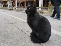 -铜锣湾KTV(木渎店)