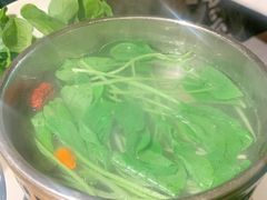 -初蓉丨遇见新川菜(亲贤街荣耀店)