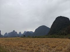-钟山水墨田园