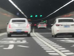 -胶州湾海底隧道