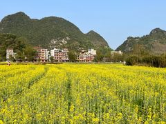 -靖西鹅泉风景区