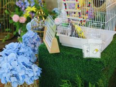 -天虹购物中心(石路店)