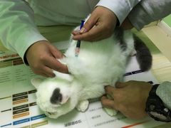 -圣宠动物医院·犬猫专科·影像中心·外科中心