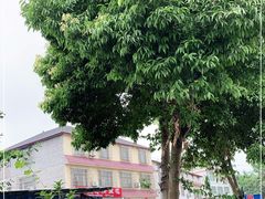 -渝都天星老街豆花