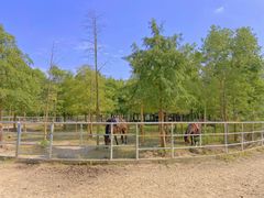 -上海海湾国家森林公园