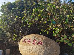-5号餐厅