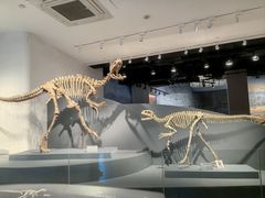 -自贡恐龙博物馆