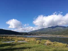 -腾冲北海湿地