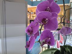 -世纪金源购物中心(远大路店)