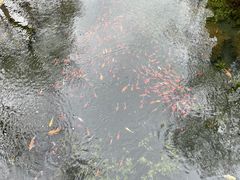 -水磨沟公园