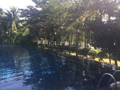 -三亚湾海居铂尔曼度假酒店